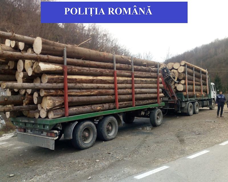 Un Pădurar și Un Hoț De Lemne Reținuți După Ce Au Fost Prinși La